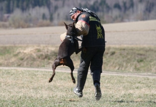 Training in Finland 5/2009