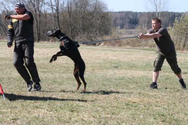 Training in Finland 5/2009