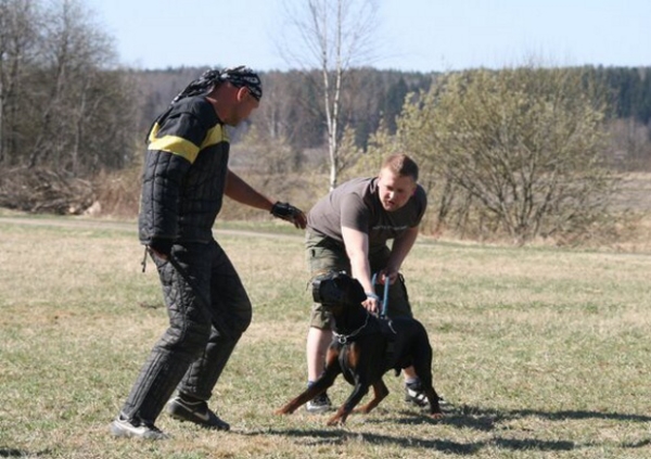 Training in Finland 5/2009