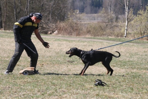 Training in Finland 5/2009