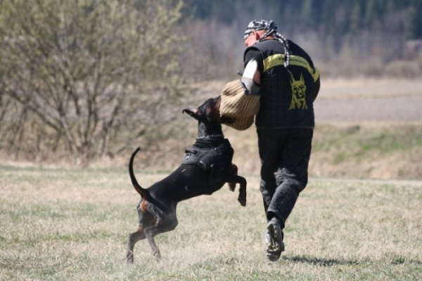 Training in Finland 5/2009