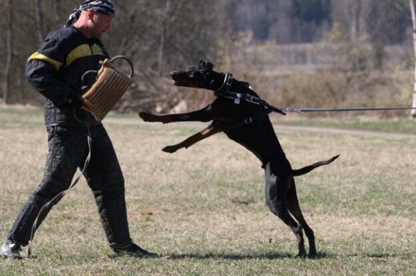 Training in Finland 5/2009