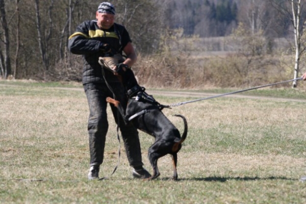 Training in Finland 5/2009