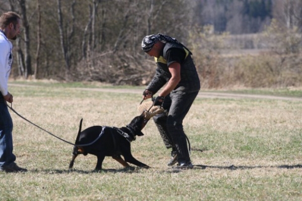 Training in Finland 5/2009