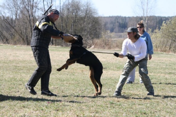 Training in Finland 5/2009