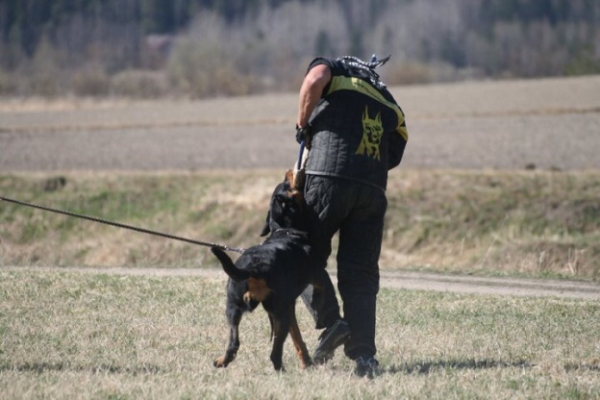 Training in Finland 5/2009