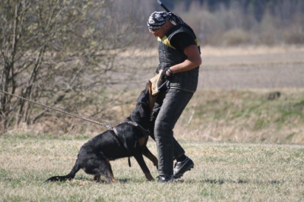 Training in Finland 5/2009