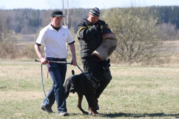 Training in Finland 5/2009