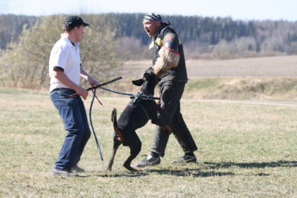 Training in Finland 5/2009