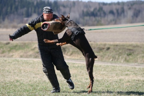 Training in Finland 5/2009