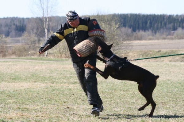 Training in Finland 5/2009