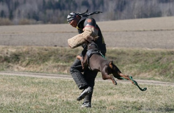 Training in Finland 5/2009