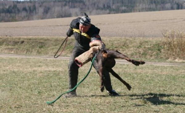 Training in Finland 5/2009