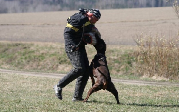 Training in Finland 5/2009