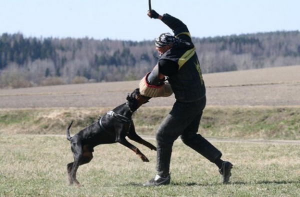 Training in Finland 5/2009