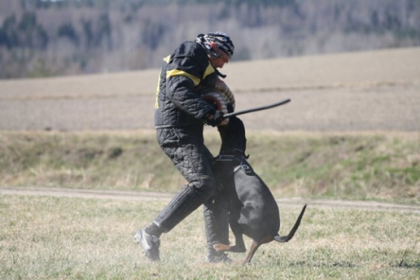 Training in Finland 5/2009