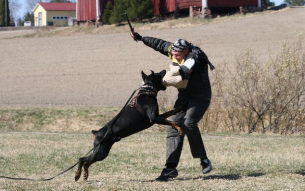 Training in Finland 5/2009