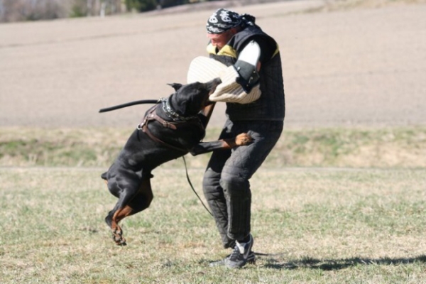 Training in Finland 5/2009