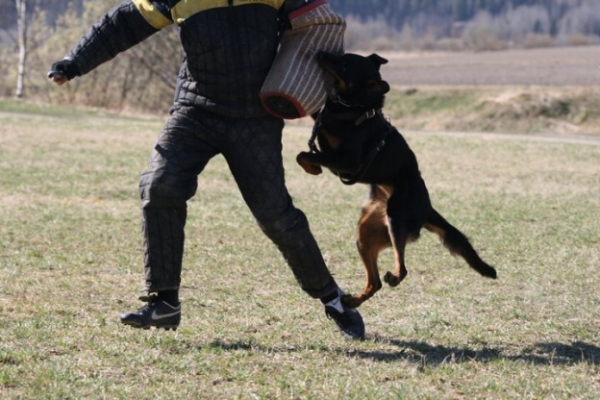 Training in Finland 5/2009