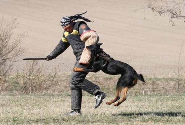 Training in Finland 5/2009