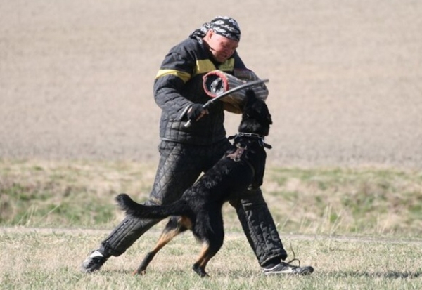 Training in Finland 5/2009