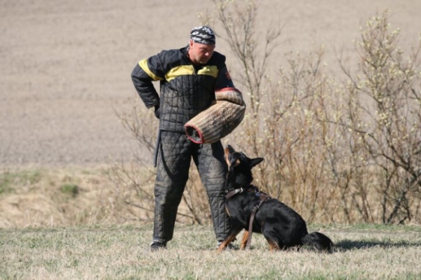 Training in Finland 5/2009