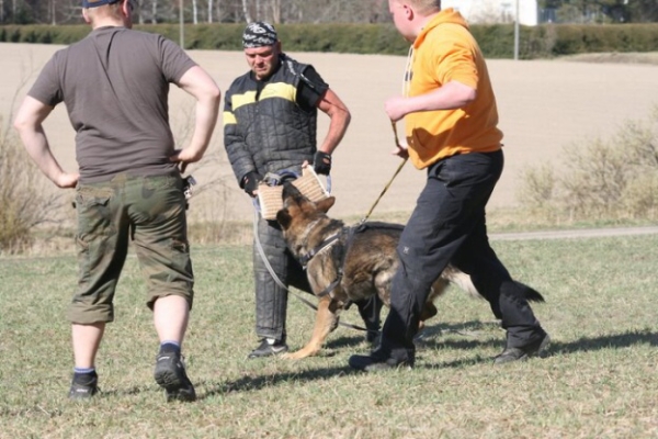 Training in Finland 5/2009