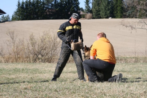 Training in Finland 5/2009