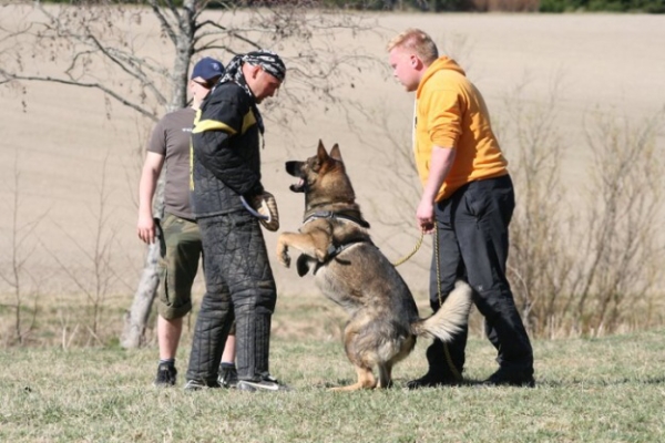 Training in Finland 5/2009