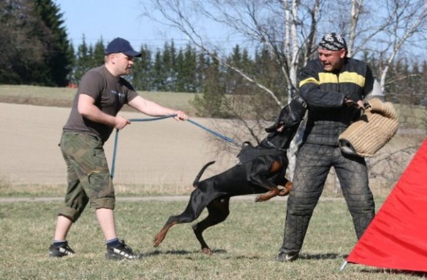 Training in Finland 5/2009