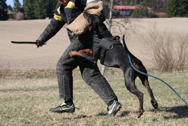 Training in Finland 5/2009