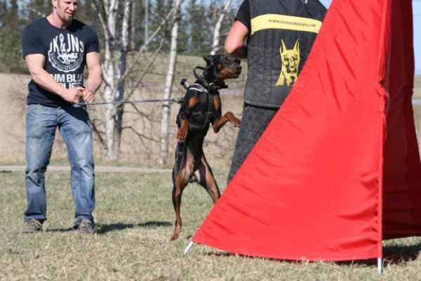 Training in Finland 5/2009