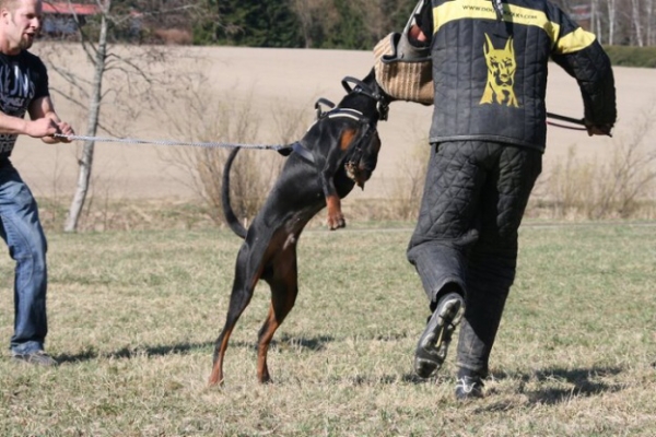 Training in Finland 5/2009