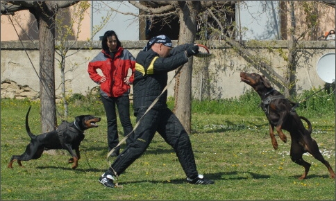 Training in France 23. - 25. 3. 2008 