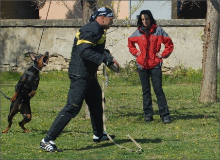 Training in France 23. - 25. 3. 2008 