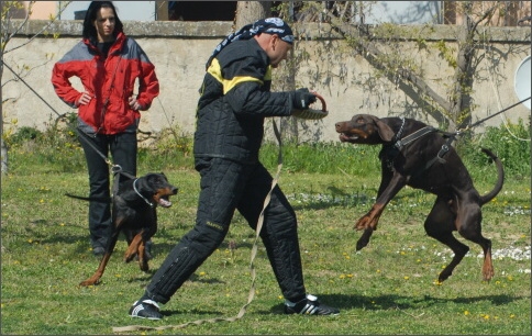 Training in France 23. - 25. 3. 2008 