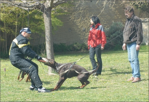 Training in France 23. - 25. 3. 2008 