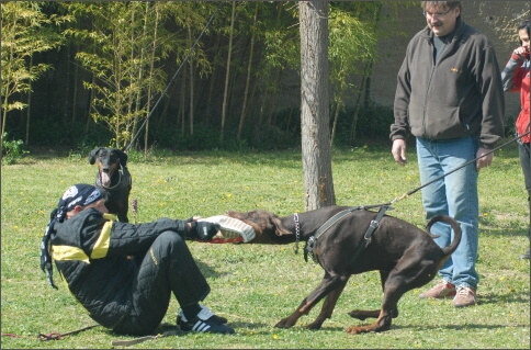 Training in France 23. - 25. 3. 2008 