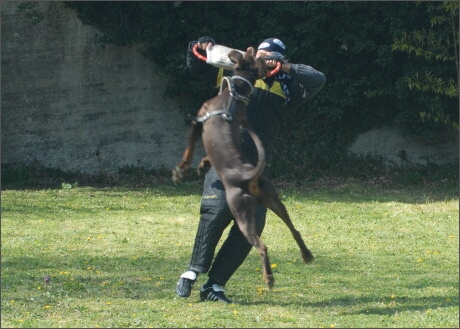 Training in France 23. - 25. 3. 2008 