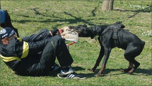 Training in France 23. - 25. 3. 2008 