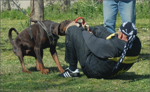 Training in France 23. - 25. 3. 2008 