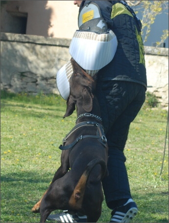 Training in France 23. - 25. 3. 2008 