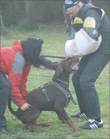 Training in France 23. - 25. 3. 2008 