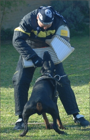 Training in France 23. - 25. 3. 2008 