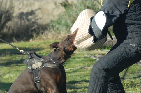 Training in France 23. - 25. 3. 2008 