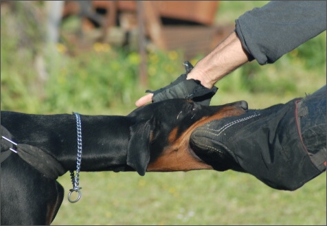 Training in France 23. - 25. 3. 2008 