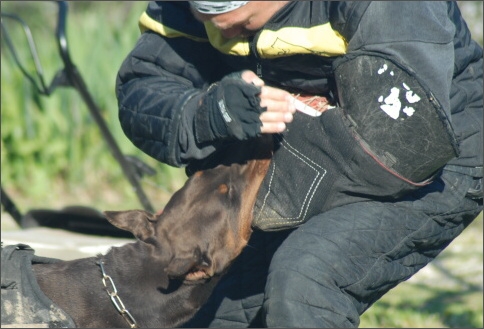 Training in France 23. - 25. 3. 2008 