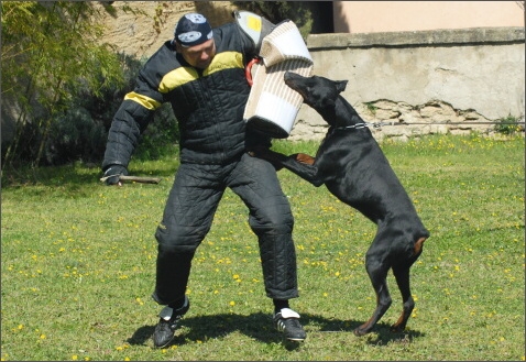 Training in France 23. - 25. 3. 2008 