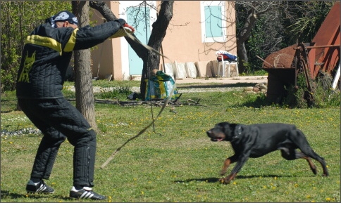 Training in France 23. - 25. 3. 2008 