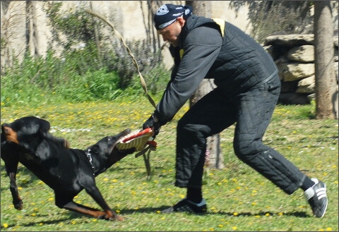 Training in France 23. - 25. 3. 2008 